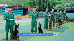 Mô hình khởi nghiệp huấn luyện chó (1)