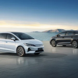BYD M6