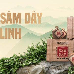 Alternative view of Rượu Sâm Dây Ngọc Linh Mohodo - Chai 500ml 29%