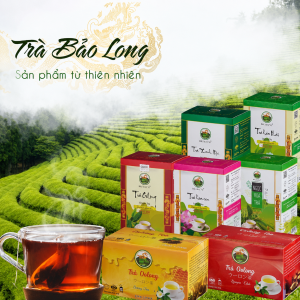 TRÀ BẢO LONG