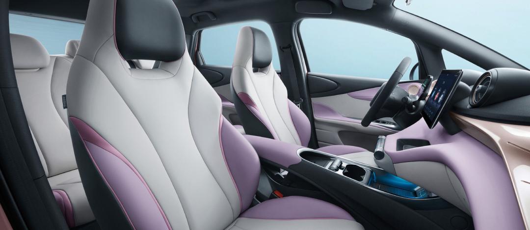 Ôtô điện BYD Dolphin - Ảnh 7