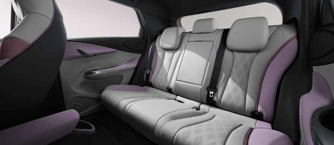 Ôtô điện BYD Dolphin - Ảnh 9