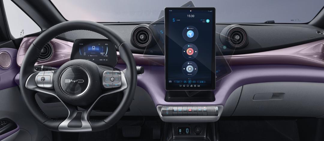 Ôtô điện BYD Dolphin - Ảnh 11
