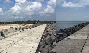 Quản lý dự án và tư vấn đấu thầu