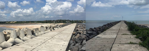 Quản lý dự án và tư vấn đấu thầu