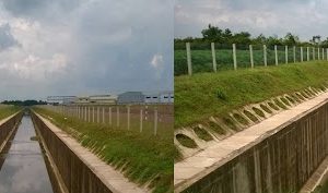 Alternative view of Quản lý dự án và tư vấn đấu thầu